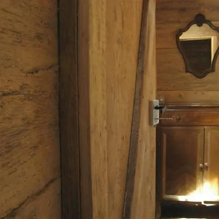 Schwarzwaldbauernhaus 度假居